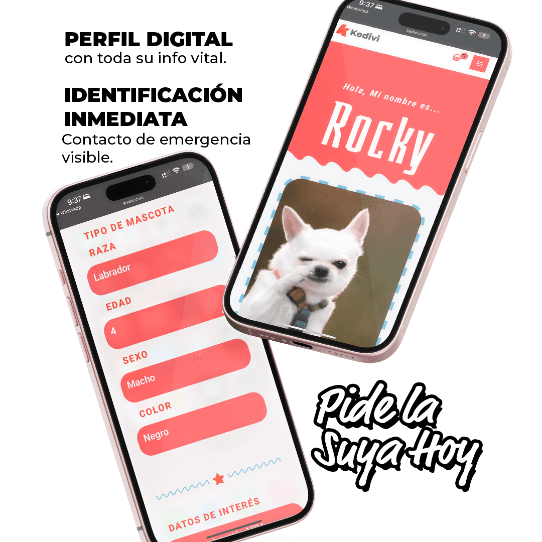 Así se ve el perfil digital de tu mascota al escanear su plaquita QR